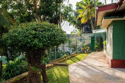 Udawatta Kele (UK) Forest Lodge image 13