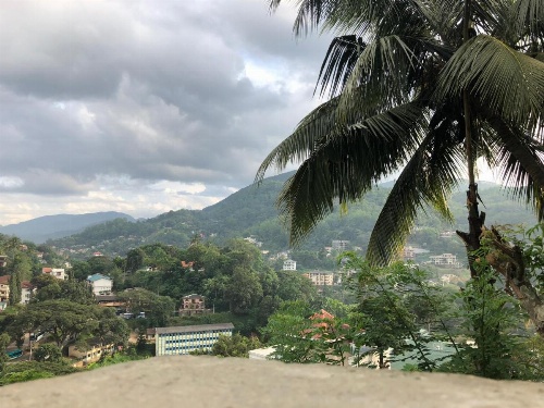 Udawatta Kele (UK) Forest Lodge image 19