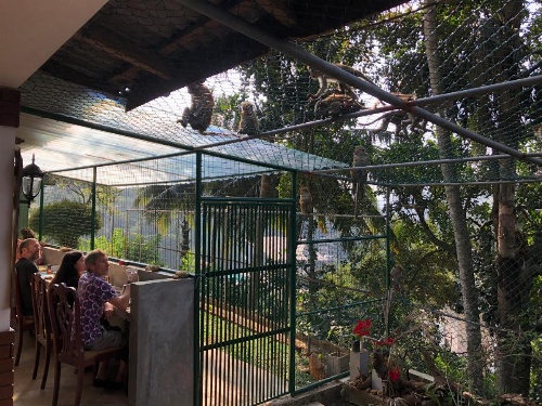 Udawatta Kele (UK) Forest Lodge image 24