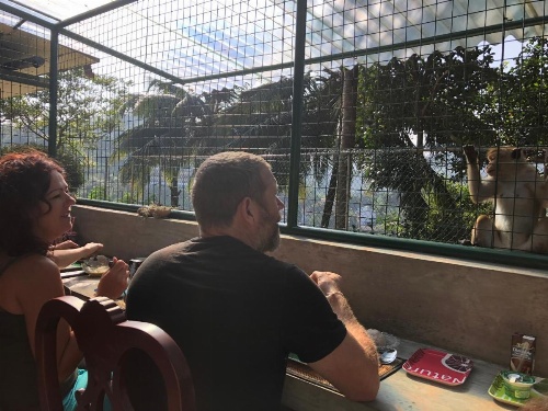 Udawatta Kele (UK) Forest Lodge image 26