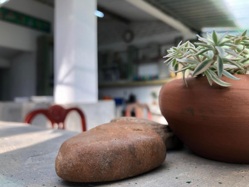 Udawatta Kele (UK) Forest Lodge