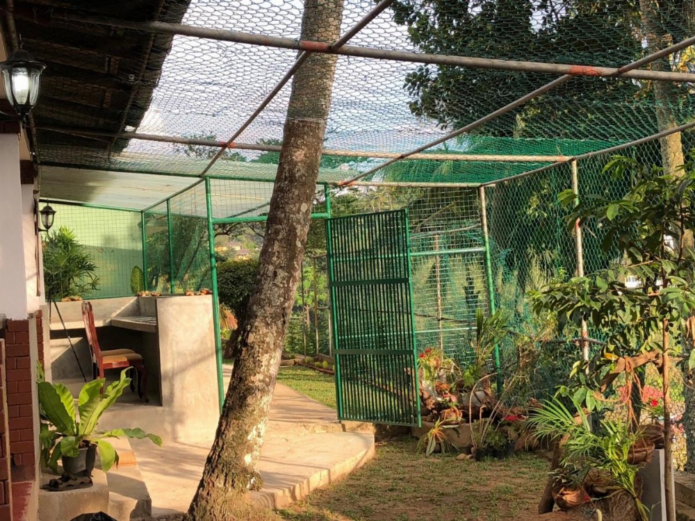 Udawatta Kele (UK) Forest Lodge