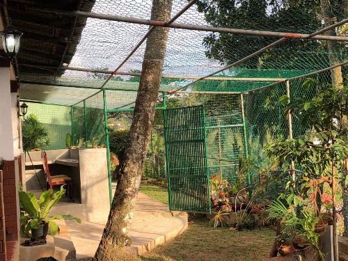 Udawatta Kele (UK) Forest Lodge image 5