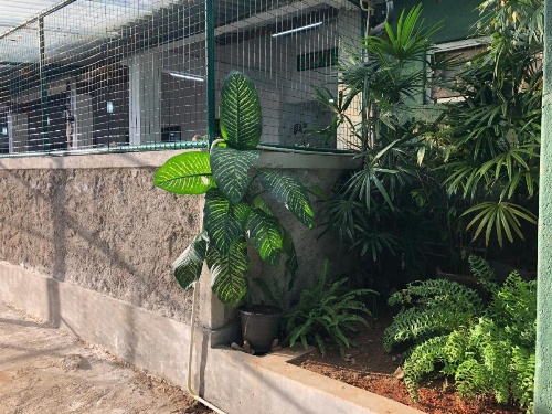 Udawatta Kele (UK) Forest Lodge image 6